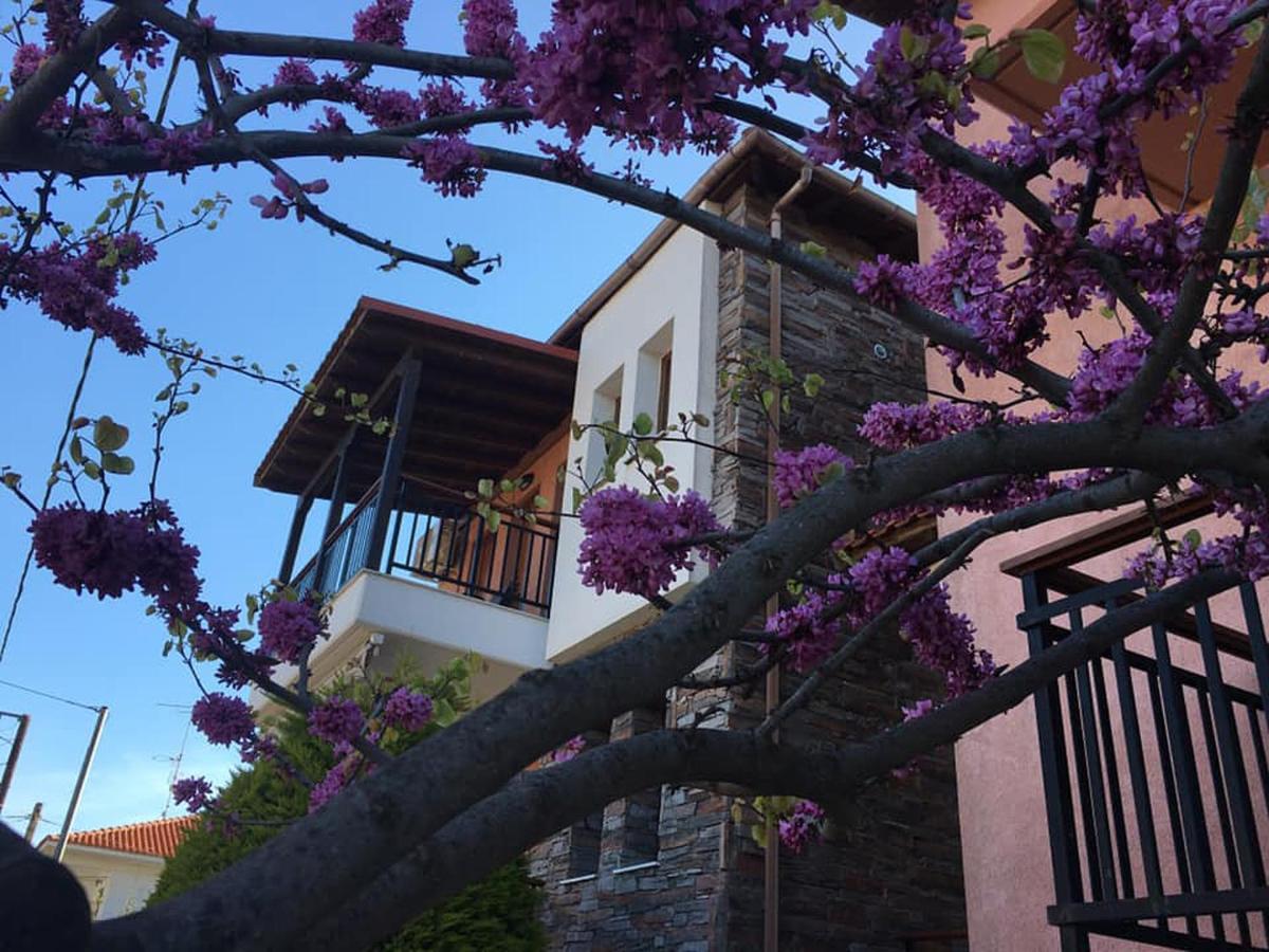 Nea Roda Apartments エクステリア 写真